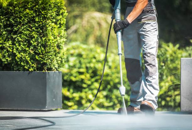 Best Concrete Sealing  in Argentine, MI