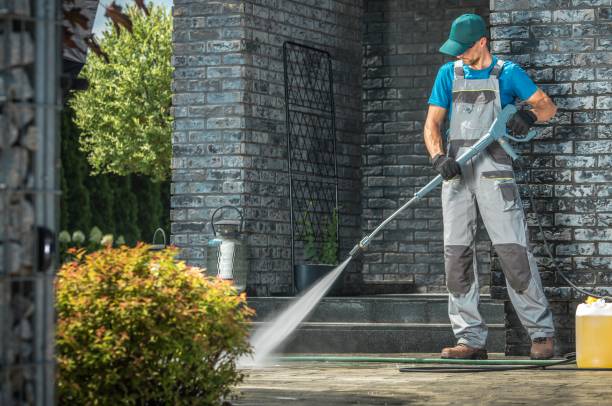 Best Driveway Pressure Washing  in Argentine, MI