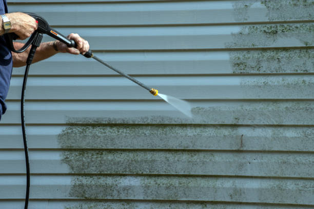 Best House Exterior Washing  in Argentine, MI