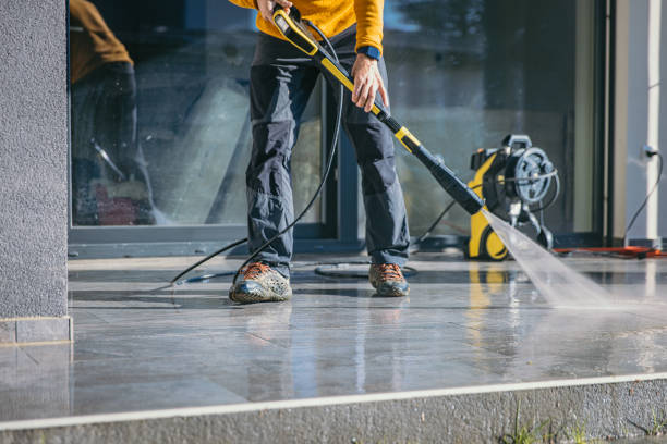 Best Dumpster Area Cleaning  in Argentine, MI